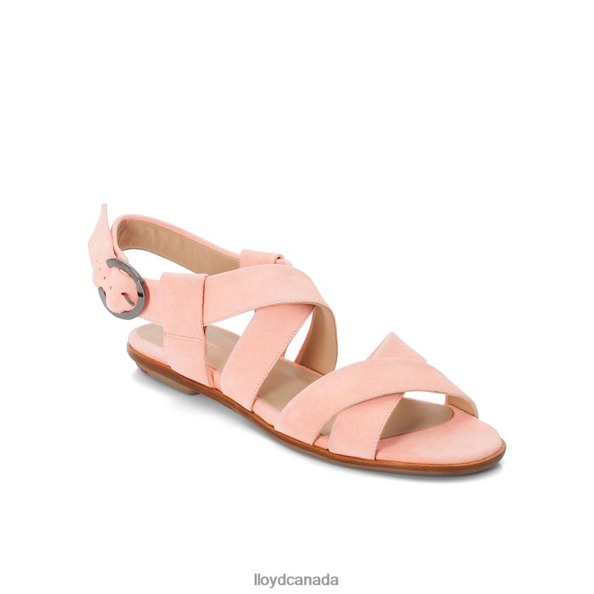 SUEDE SURFACE SANDALE LLOYD Women pink R084ZF1360 Shoes