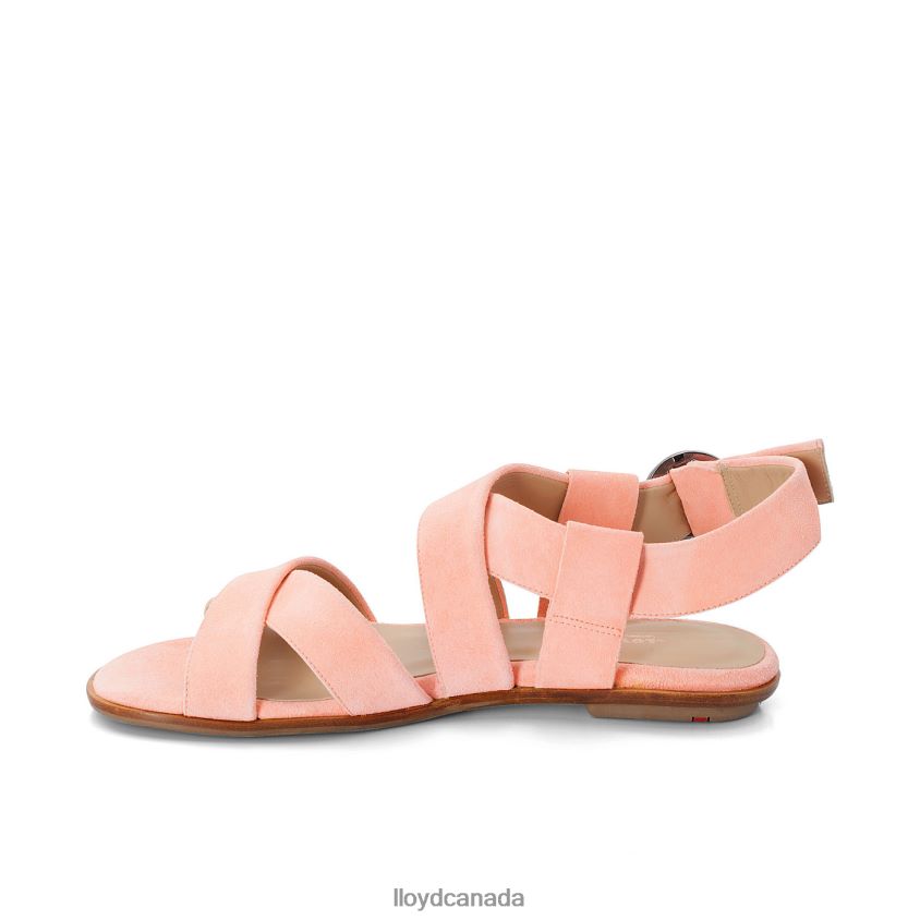 SUEDE SURFACE SANDALE LLOYD Women pink R084ZF1360 Shoes