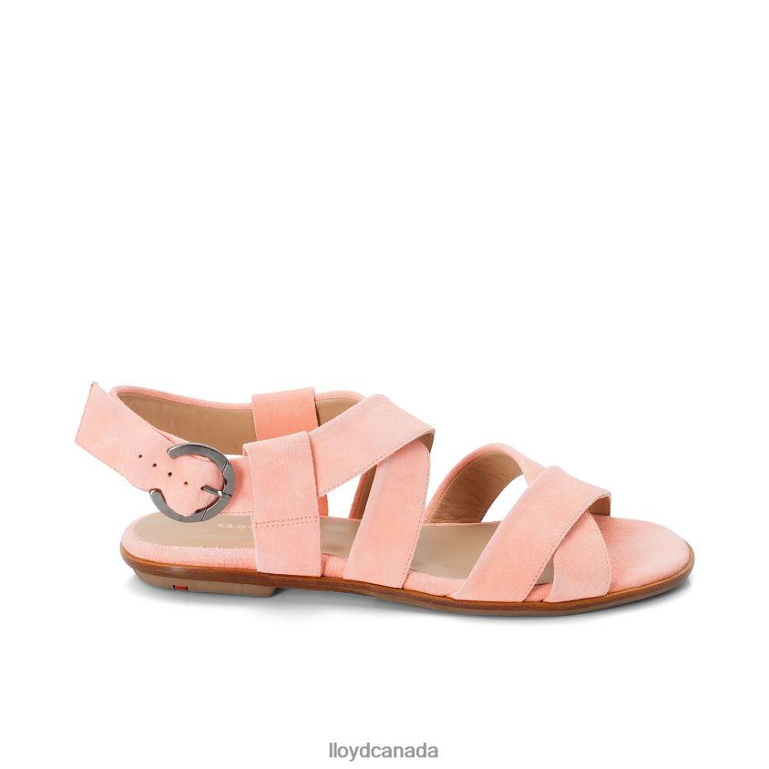 SUEDE SURFACE SANDALE LLOYD Women pink R084ZF1360 Shoes