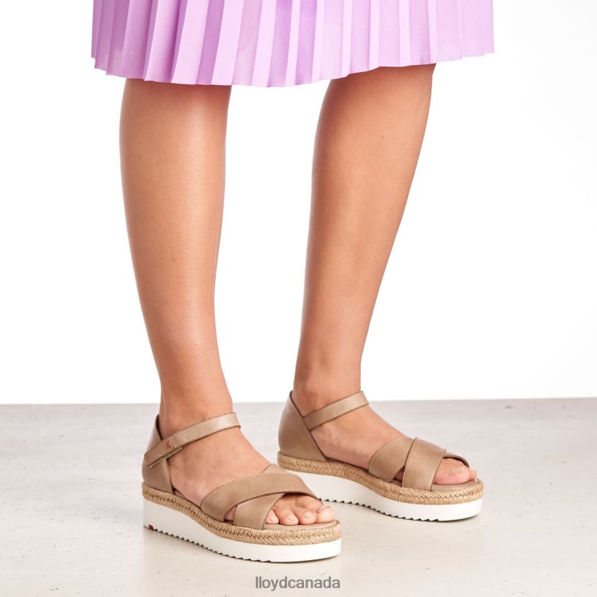 WEDGE SANDALE LLOYD Women beige R084ZF1229 Shoes