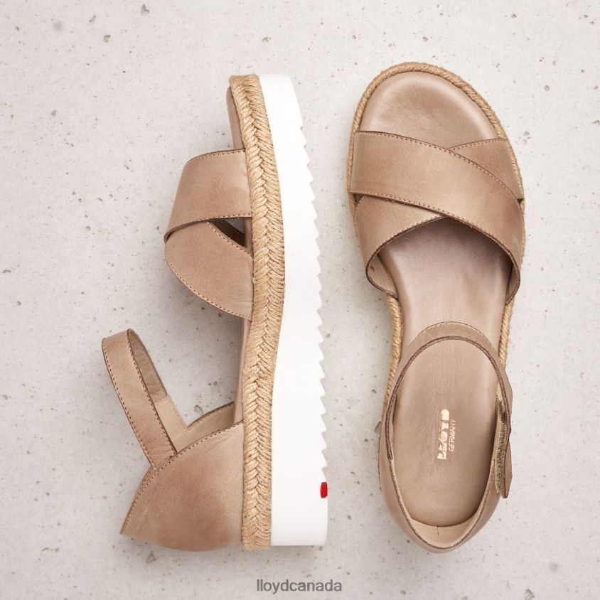 WEDGE SANDALE LLOYD Women beige R084ZF1229 Shoes