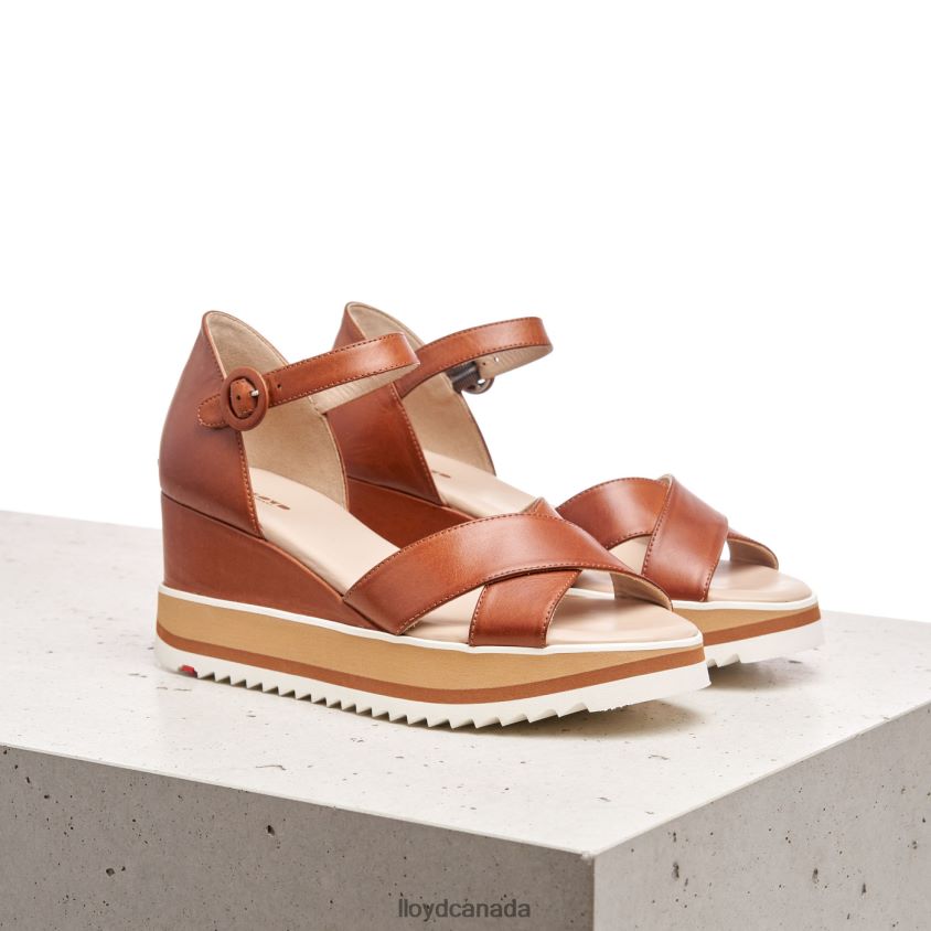 WEDGE SANDALE LLOYD Women brown R084ZF1204 Shoes