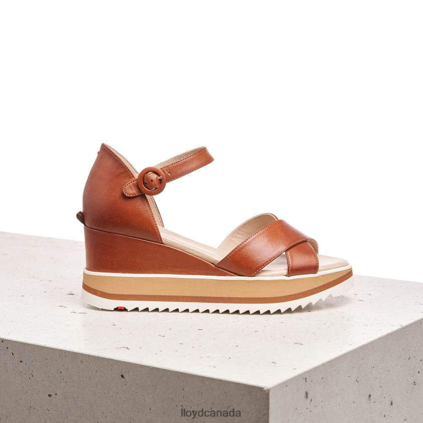 WEDGE SANDALE LLOYD Women brown R084ZF1204 Shoes