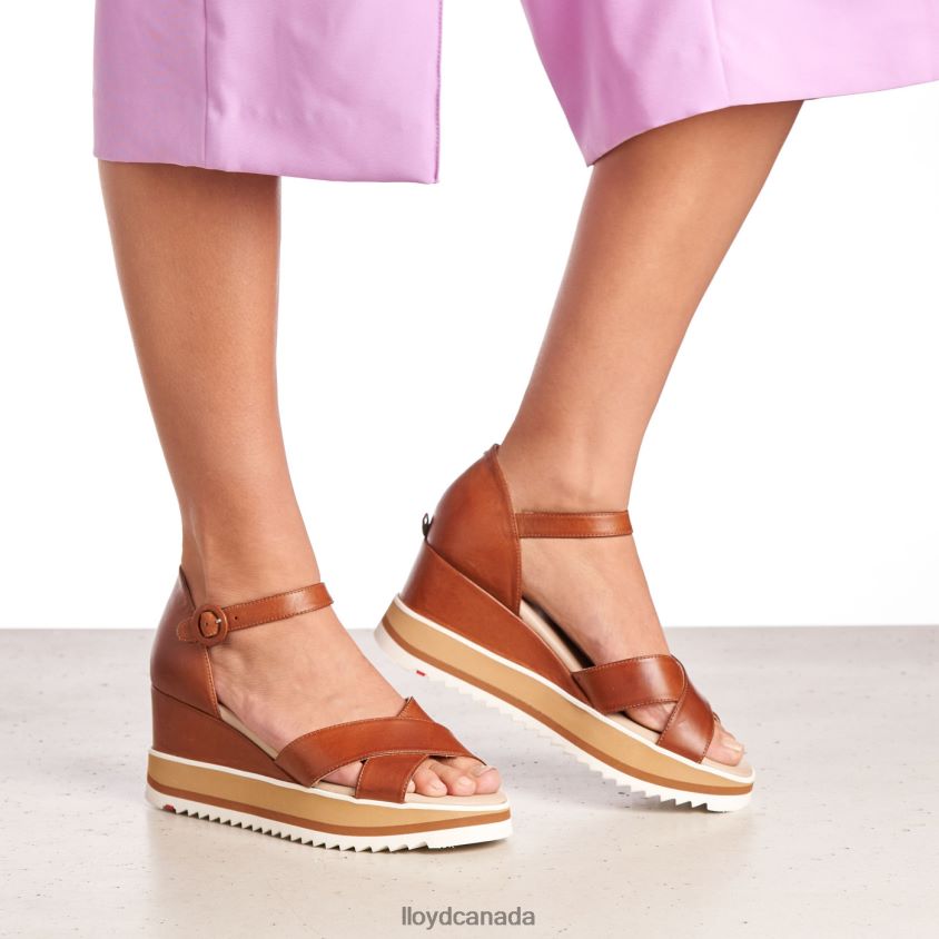 WEDGE SANDALE LLOYD Women brown R084ZF1204 Shoes