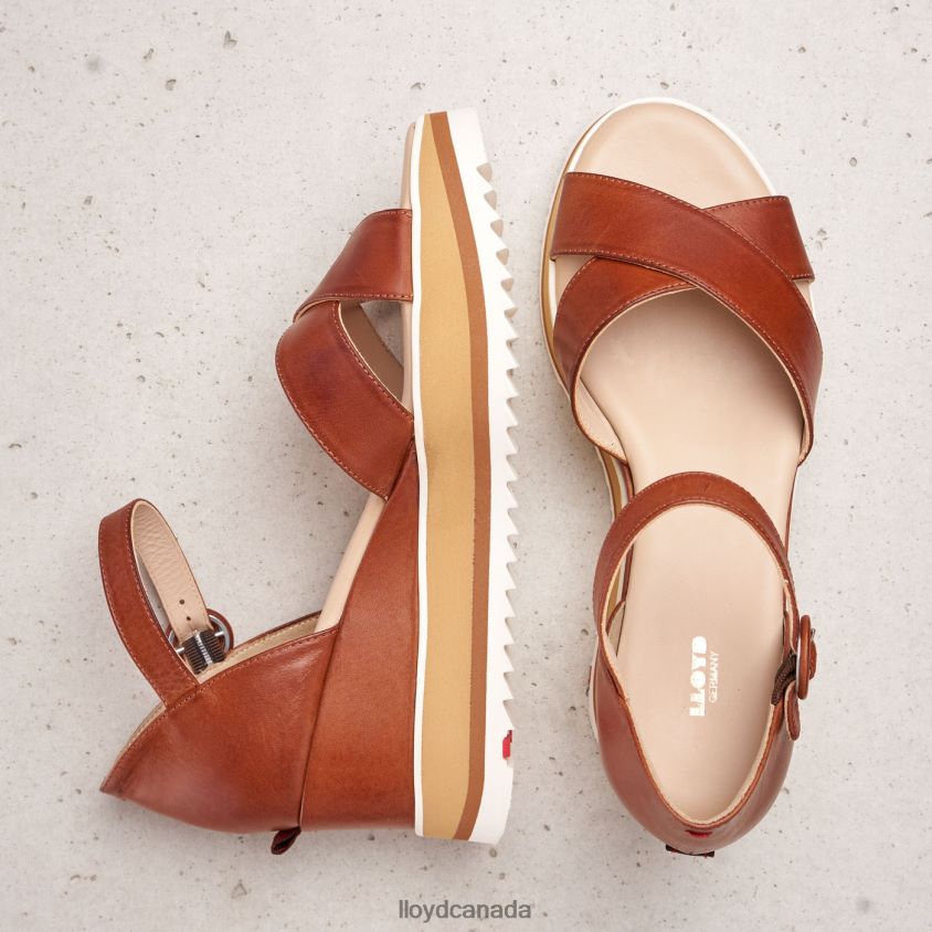 WEDGE SANDALE LLOYD Women brown R084ZF1204 Shoes