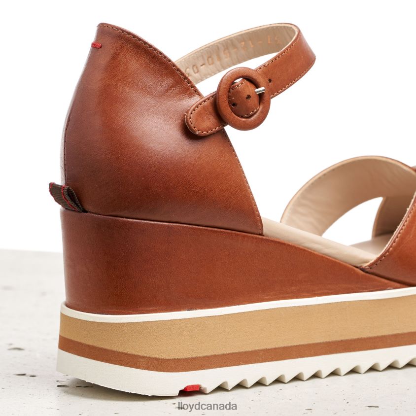 WEDGE SANDALE LLOYD Women brown R084ZF1204 Shoes