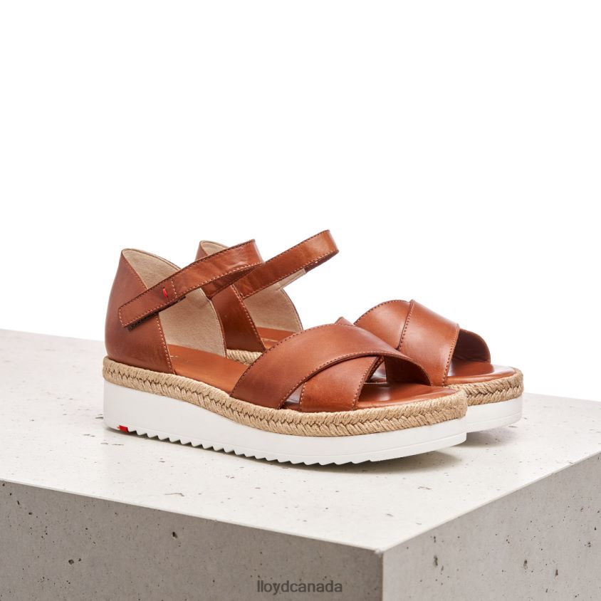 WEDGE SANDALE LLOYD Women brown R084ZF1237 Shoes