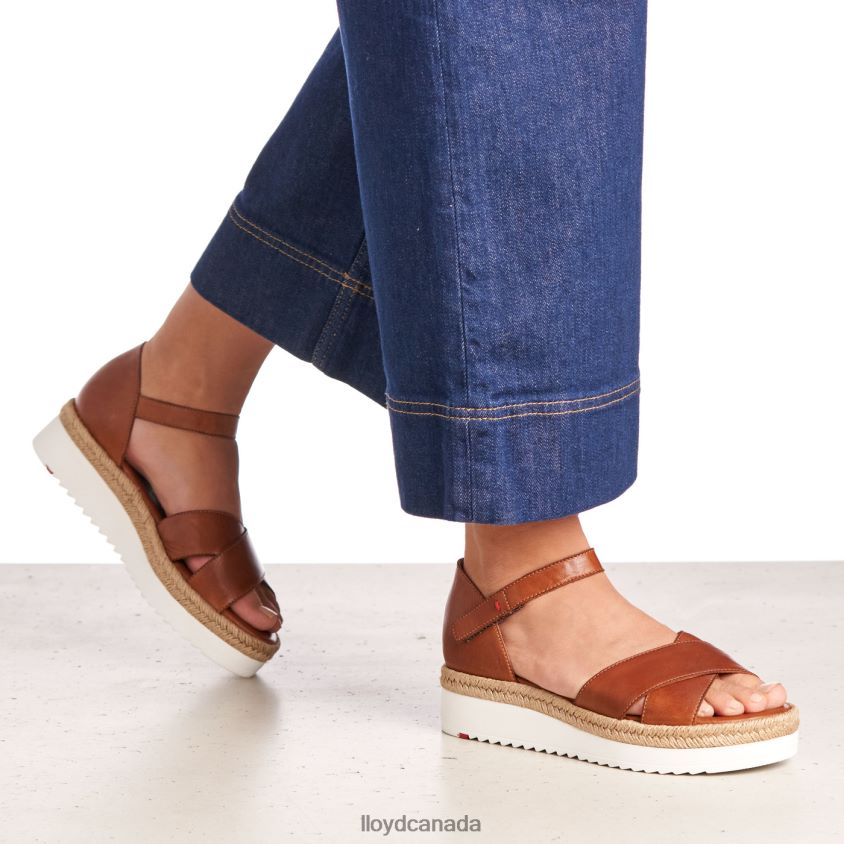 WEDGE SANDALE LLOYD Women brown R084ZF1237 Shoes