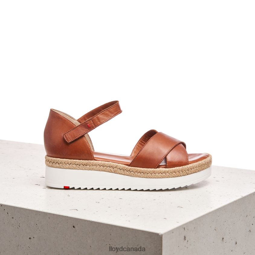 WEDGE SANDALE LLOYD Women brown R084ZF1237 Shoes