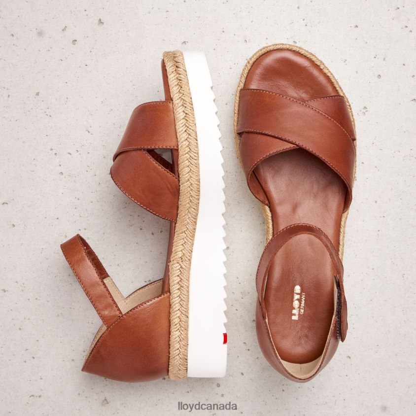 WEDGE SANDALE LLOYD Women brown R084ZF1237 Shoes