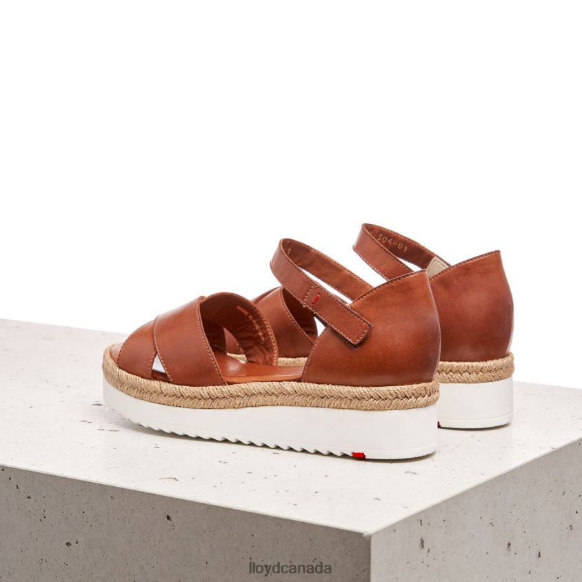 WEDGE SANDALE LLOYD Women brown R084ZF1237 Shoes