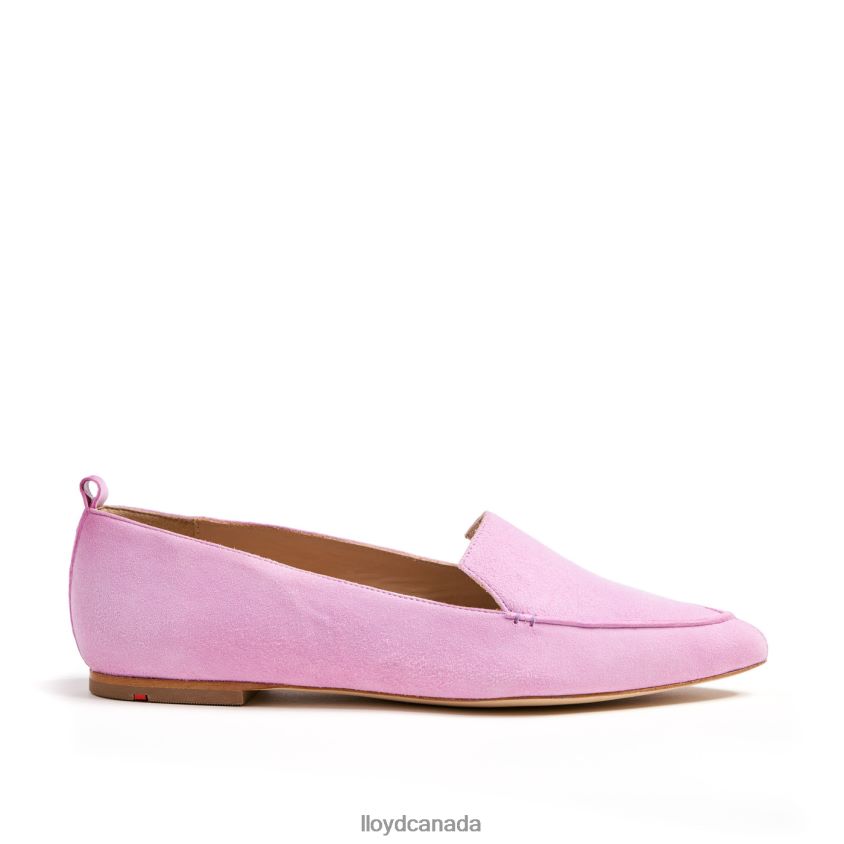 CHARMING SLIPPER LLOYD Women pink R084ZF1259 Shoes