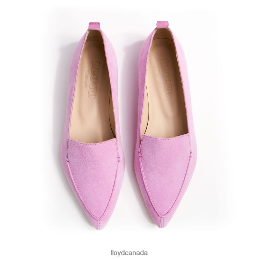 CHARMING SLIPPER LLOYD Women pink R084ZF1259 Shoes