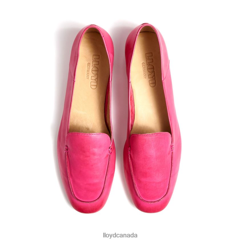CHARMING SLIPPER LLOYD Women pink R084ZF1261 Shoes