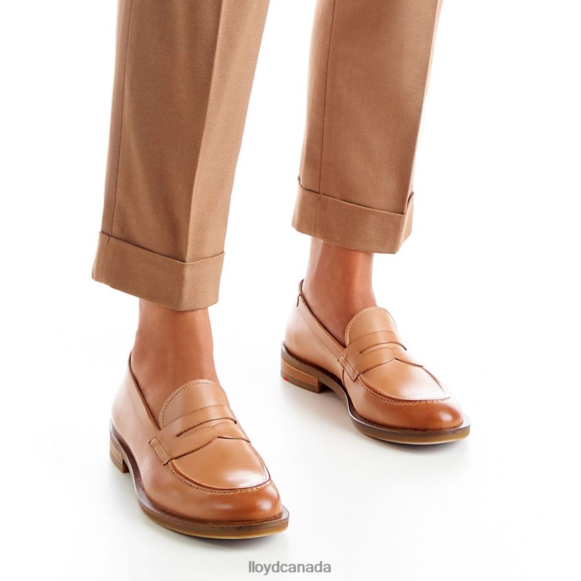 LEATHER SLIPPER LLOYD Women brown R084ZF1077 Shoes