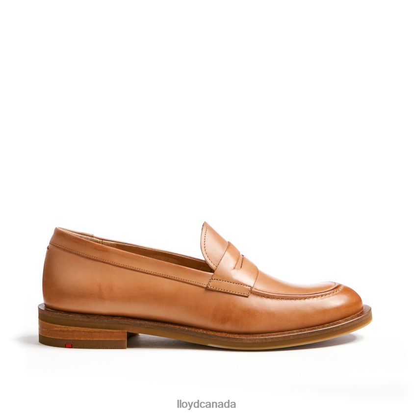 LEATHER SLIPPER LLOYD Women brown R084ZF1077 Shoes
