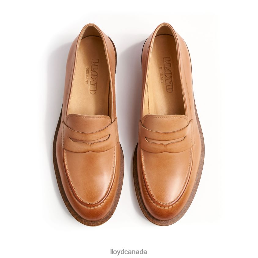 LEATHER SLIPPER LLOYD Women brown R084ZF1077 Shoes