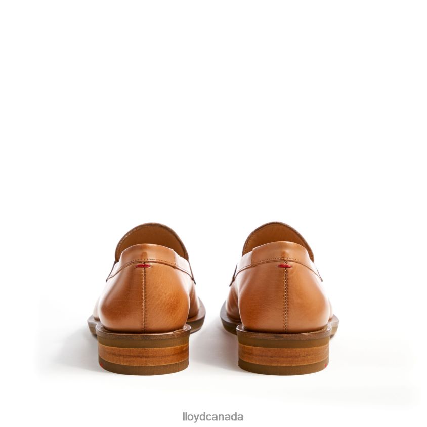 LEATHER SLIPPER LLOYD Women brown R084ZF1077 Shoes