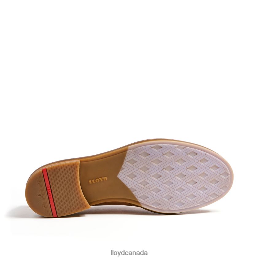 LEATHER SLIPPER LLOYD Women brown R084ZF1077 Shoes