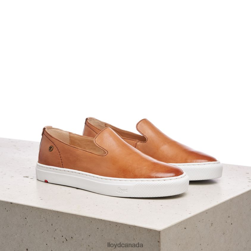 LEATHER SLIPPER LLOYD Women brown R084ZF1349 Shoes