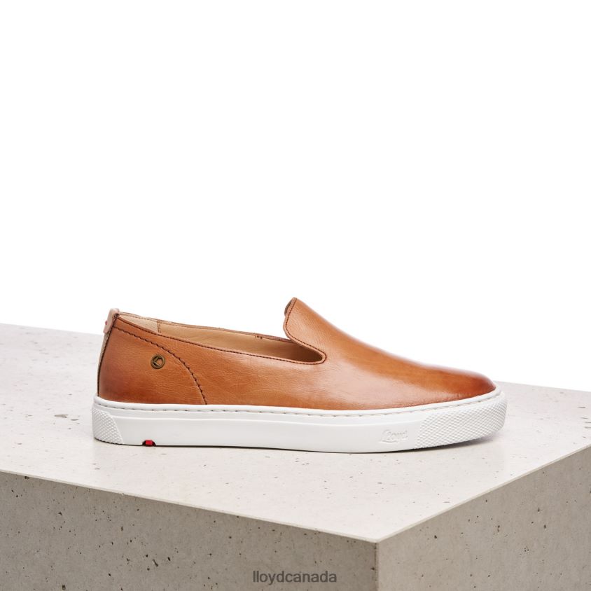 LEATHER SLIPPER LLOYD Women brown R084ZF1349 Shoes