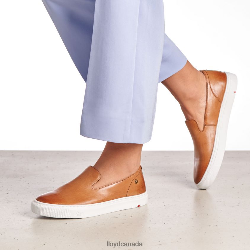 LEATHER SLIPPER LLOYD Women brown R084ZF1349 Shoes
