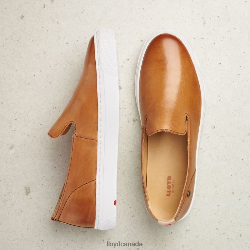 LEATHER SLIPPER LLOYD Women brown R084ZF1349 Shoes