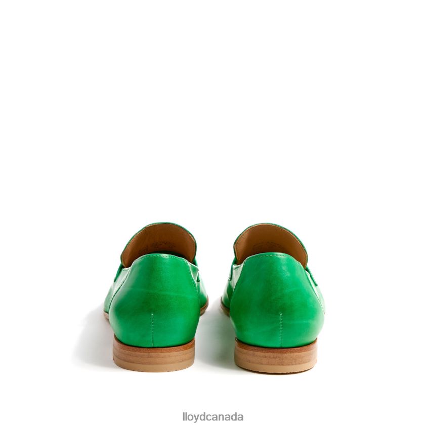 LEATHER SLIPPER LLOYD Women green R084ZF1120 Shoes