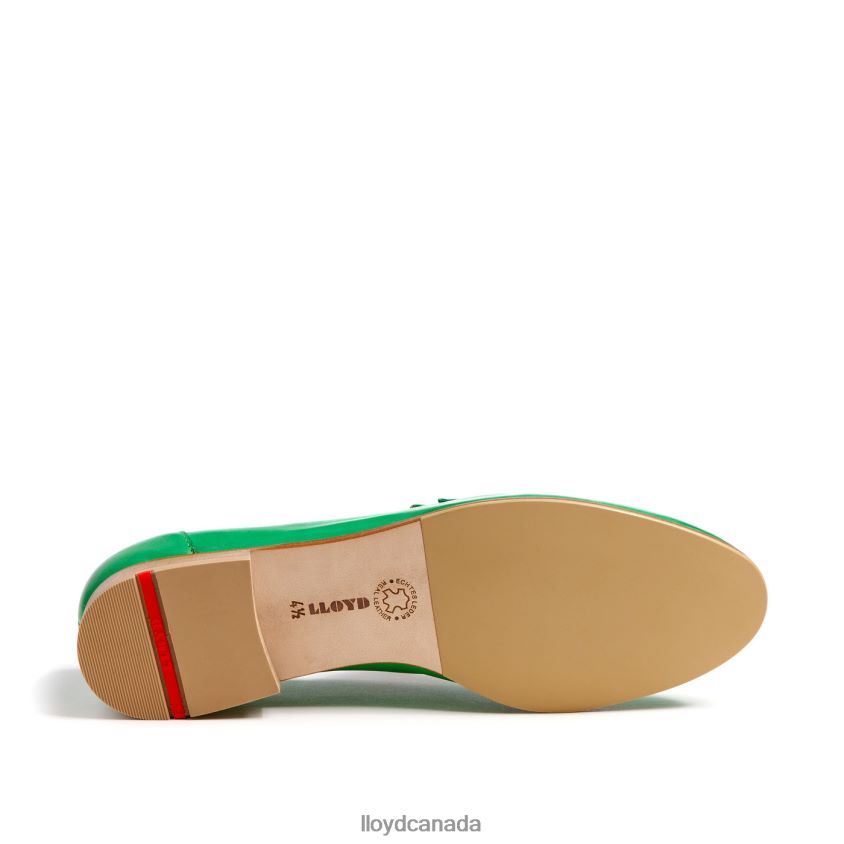 LEATHER SLIPPER LLOYD Women green R084ZF1120 Shoes
