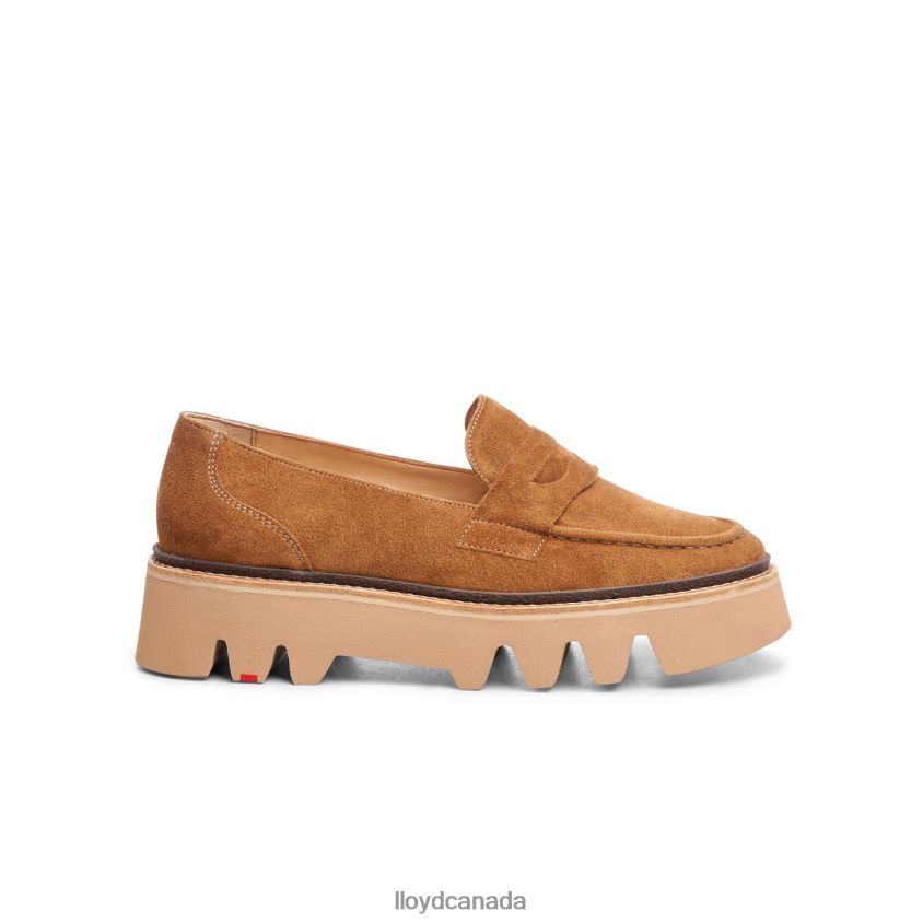 LEATHER SLIP-ON SLIPPER LLOYD Women brown R084ZF1055 Shoes
