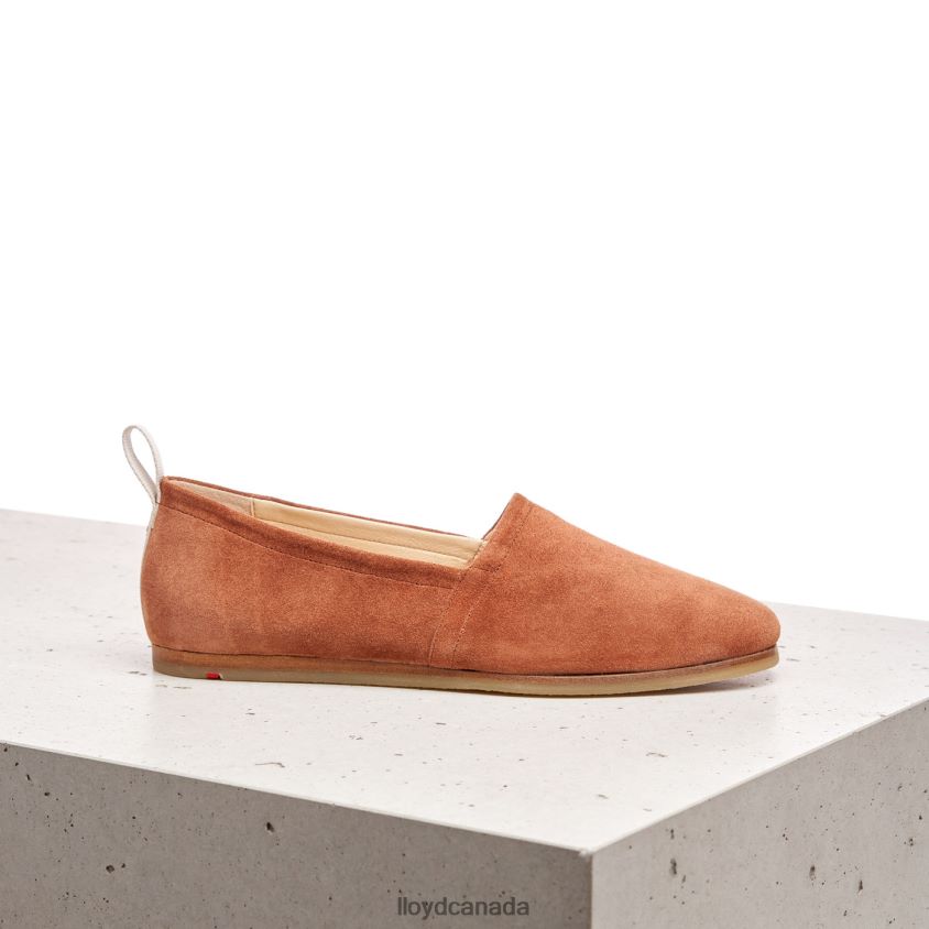 LEATHER SLIP ON SLIPPER LLOYD Women brown R084ZF1123 Shoes