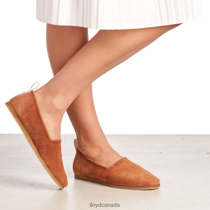 LEATHER SLIP ON SLIPPER LLOYD Women brown R084ZF1123 Shoes