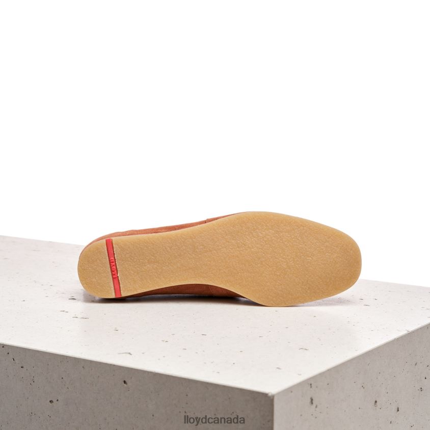 LEATHER SLIP ON SLIPPER LLOYD Women brown R084ZF1123 Shoes