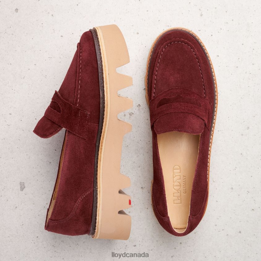 LEATHER SLIP-ON SLIPPER LLOYD Women red R084ZF1073 Shoes