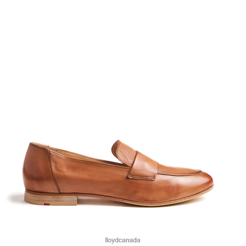 LOAFER SLIPPER LLOYD Women brown R084ZF1119 Shoes
