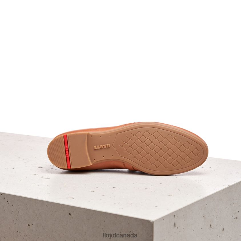 LOAFER SLIPPER LLOYD Women brown R084ZF1147 Shoes
