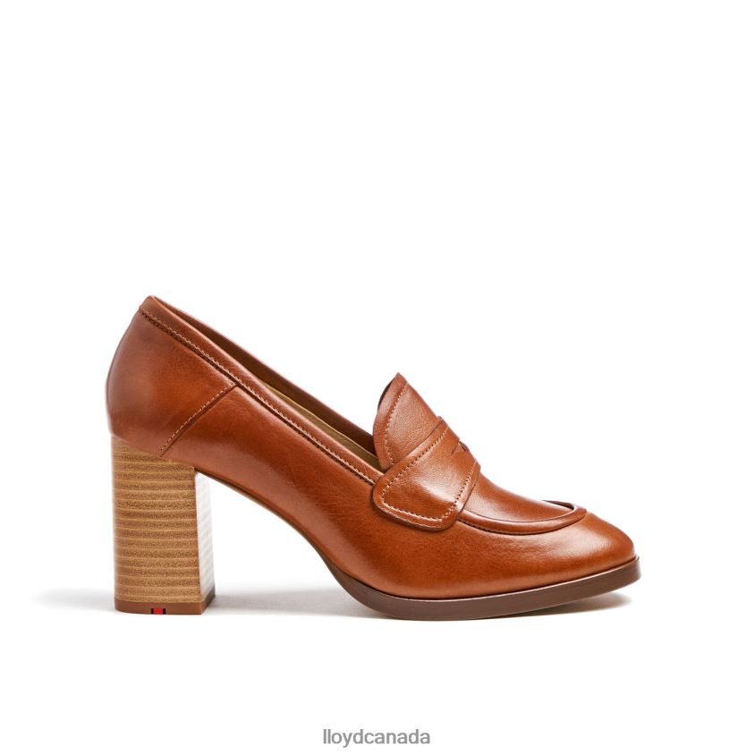 PUMP SLIPPER LLOYD Women brown R084ZF1020 Shoes