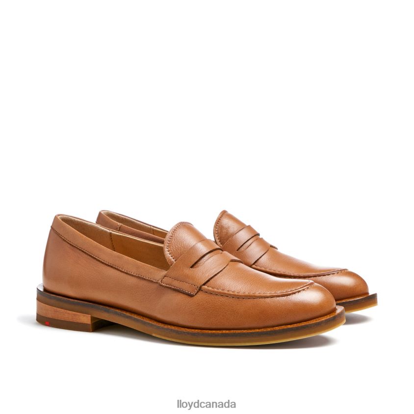 ROUGH LEATHER SLIP-ON SLIPPER LLOYD Women brown R084ZF1026 Shoes
