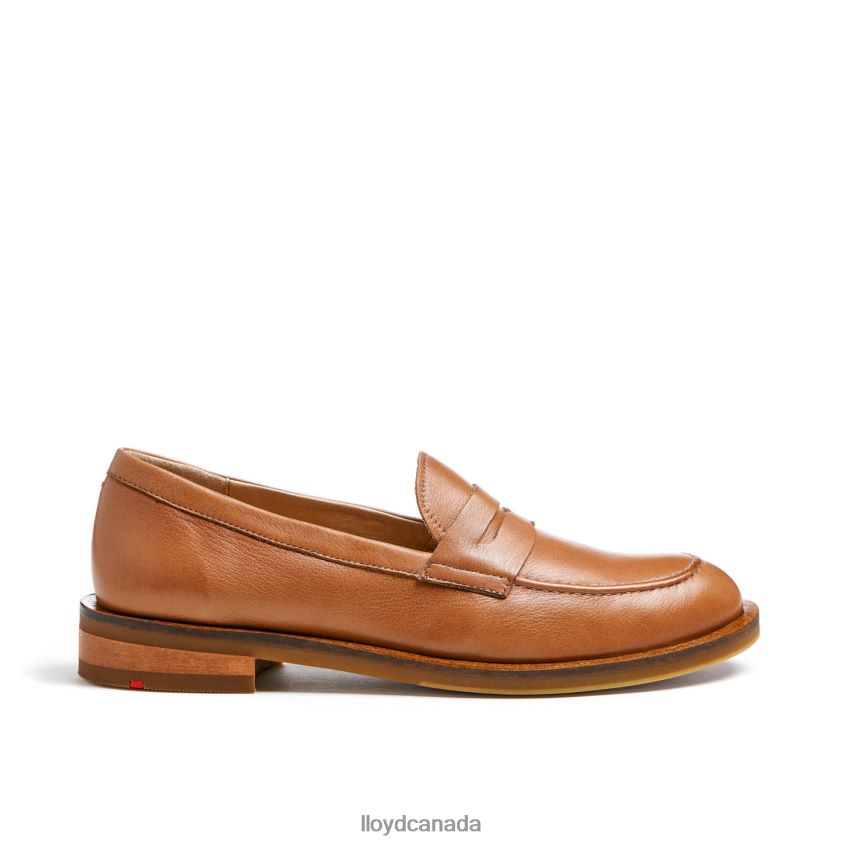 ROUGH LEATHER SLIP-ON SLIPPER LLOYD Women brown R084ZF1026 Shoes