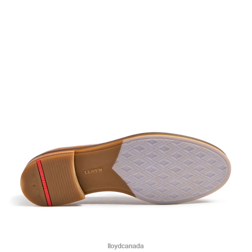 ROUGH LEATHER SLIP-ON SLIPPER LLOYD Women brown R084ZF1026 Shoes