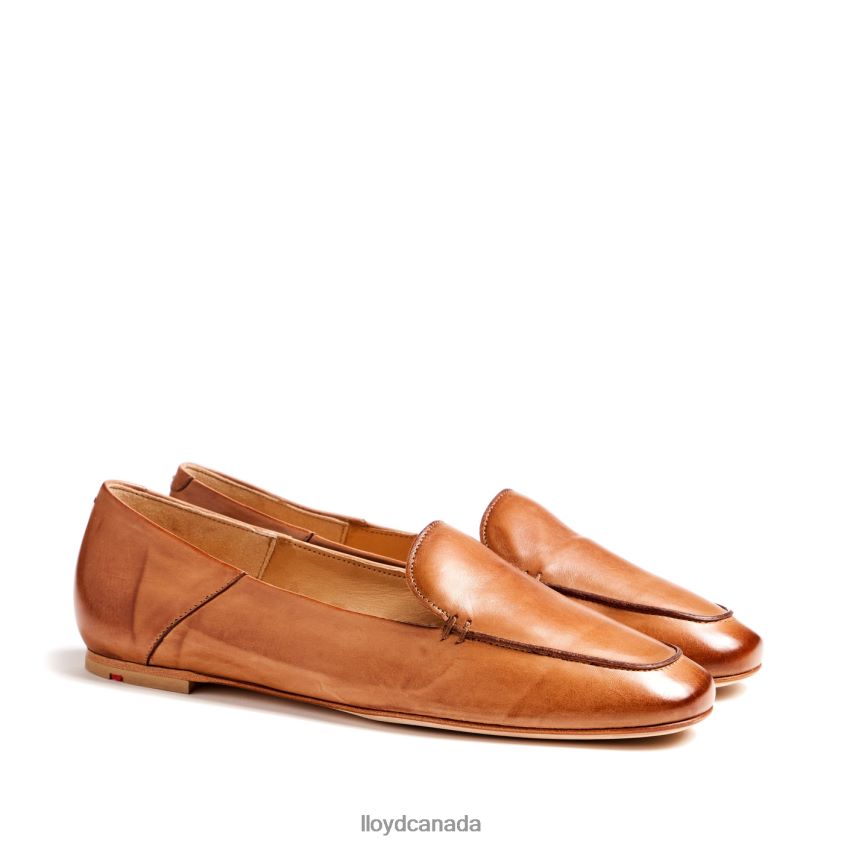 SLIPPER LLOYD Women brown R084ZF1044 Shoes