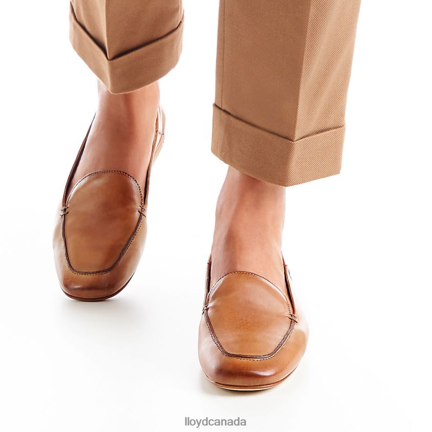 SLIPPER LLOYD Women brown R084ZF1044 Shoes