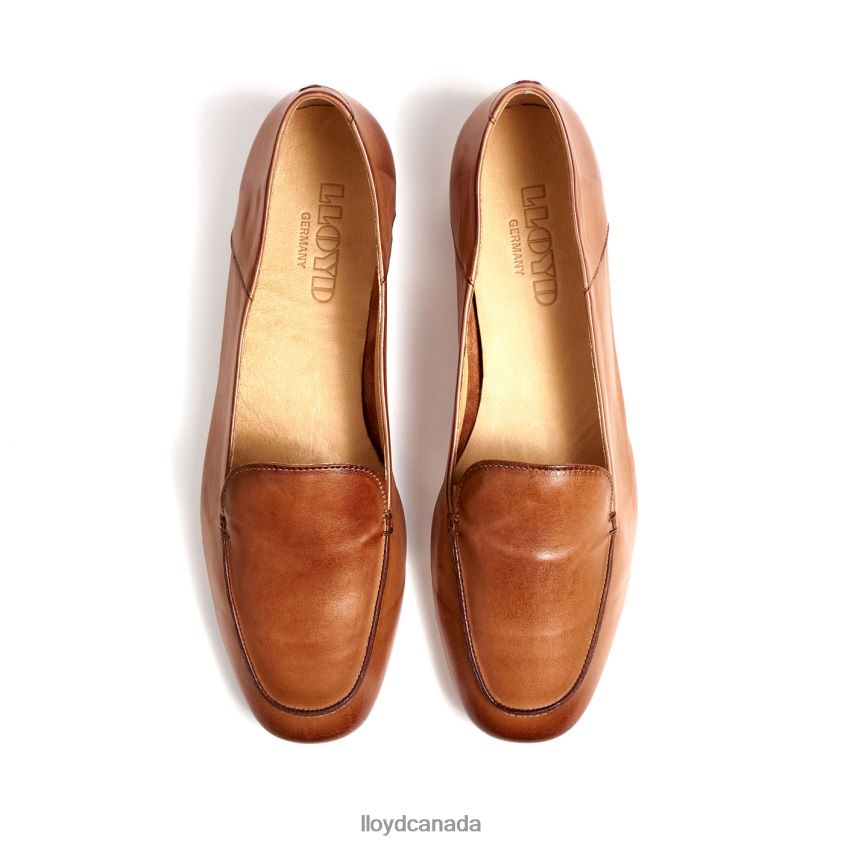 SLIPPER LLOYD Women brown R084ZF1044 Shoes