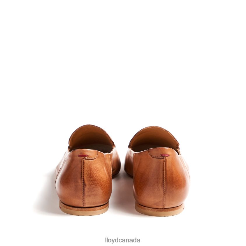 SLIPPER LLOYD Women brown R084ZF1044 Shoes