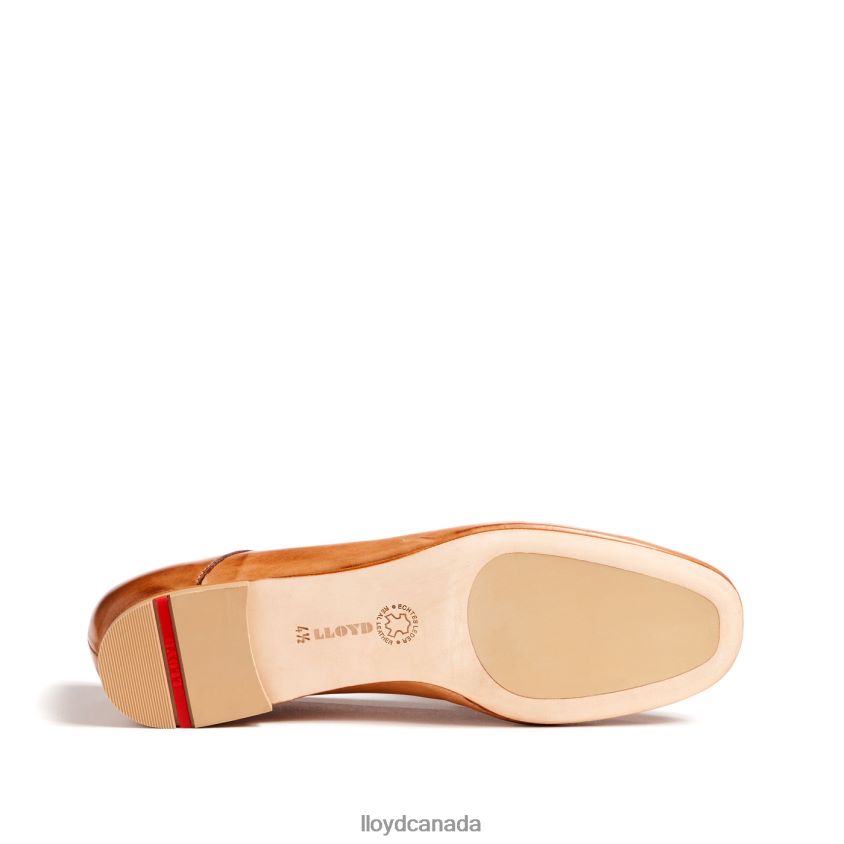 SLIPPER LLOYD Women brown R084ZF1044 Shoes