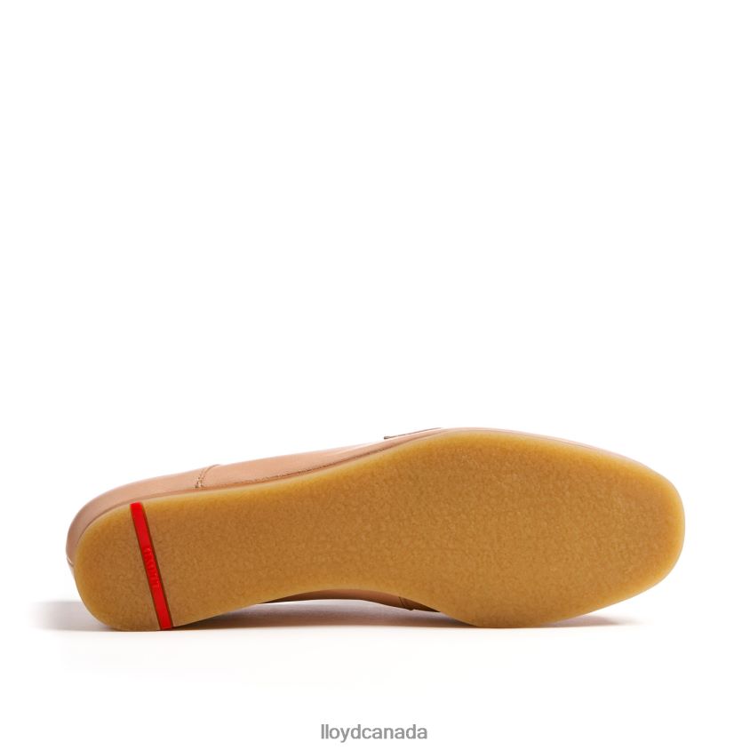 SLIPPER LLOYD Women brown R084ZF1122 Shoes