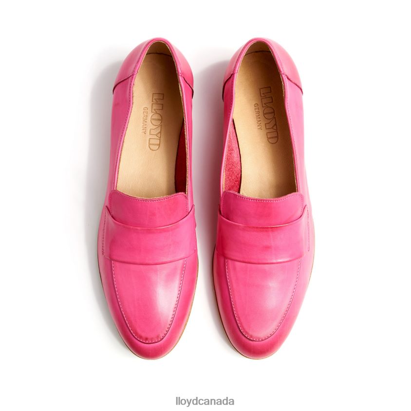 SLIPPER LLOYD Women pink R084ZF1132 Shoes