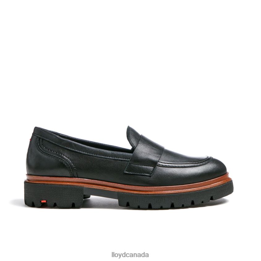 SLIP ON LEATHER SLIPPER LLOYD Women black R084ZF1116 Shoes