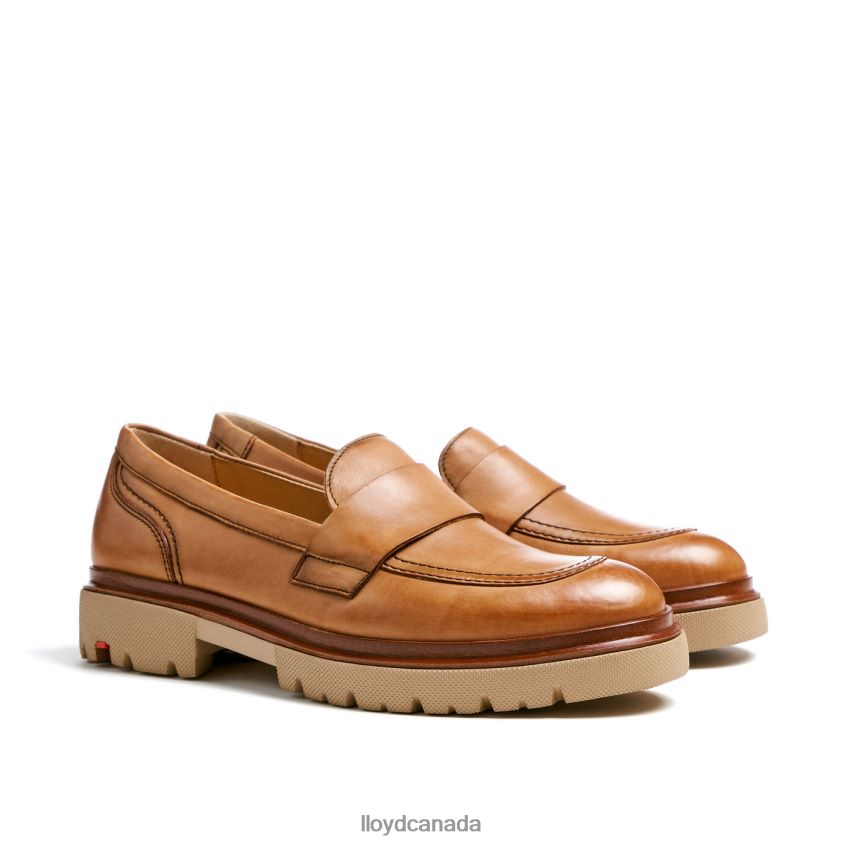 SLIP ON LEATHER SLIPPER LLOYD Women brown R084ZF1115 Shoes