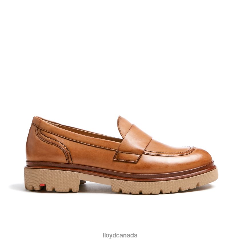 SLIP ON LEATHER SLIPPER LLOYD Women brown R084ZF1115 Shoes
